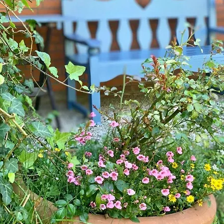 Hummer Li Seestern דירה