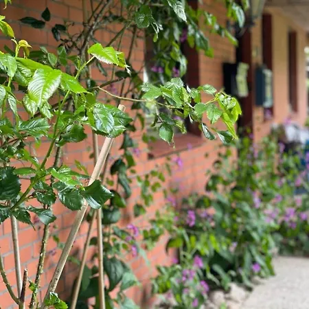 Hummer Li Seestern *