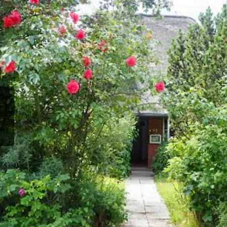 Hummer Li Seestern * Sankt Peter-Ording