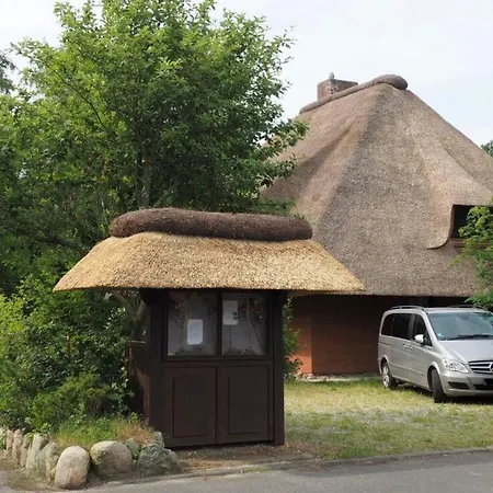 Apartment Hummer Li Seestern Sankt Peter-Ording