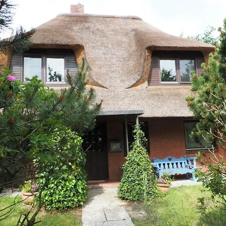 Hummer Li Seestern *