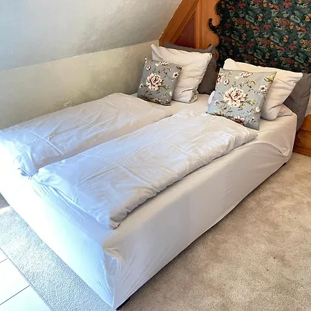 Hummer Li Seestern סנט פטר-אורדינג