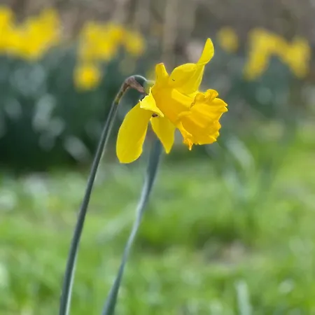 דירה Hummer Li Seestern *