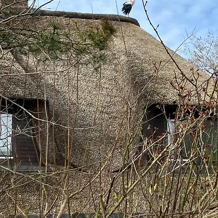 Hummer Li Seestern Apartment