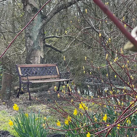 Apartment Hummer Li Seestern